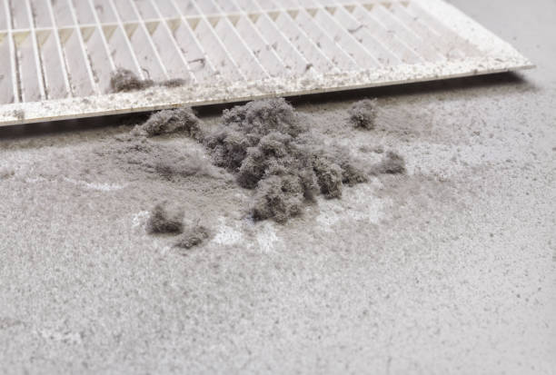 Best Air Vent Cleaning Services  in Greenvle, IL