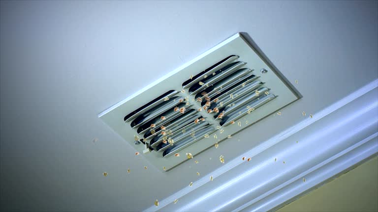 Best Best Air Duct Cleaning Company  in Greenvle, IL