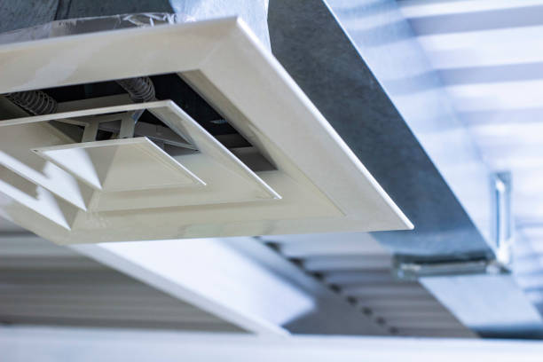 Air Duct Mold Removal in IL