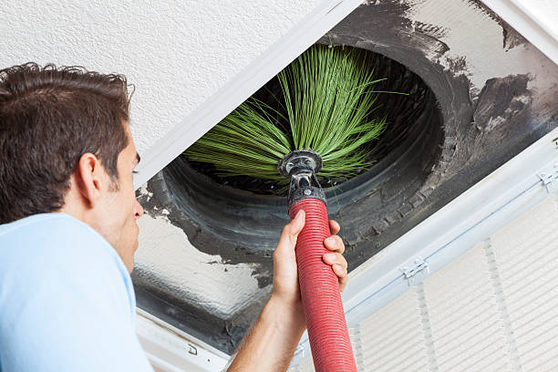 Best Affordable HVAC Duct Cleaning  in Greenvle, IL