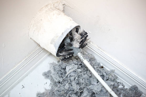 Best Local Air Duct Cleaning Services  in Greenvle, IL